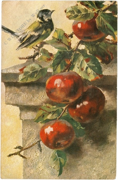 Äpfel mit vogerl Äpfel mit vogerl