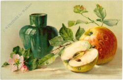 apfel apfel