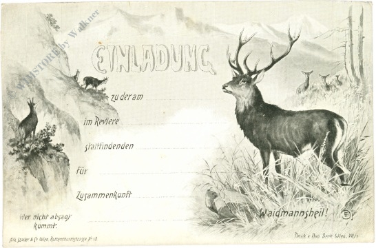 hirsch einladungskarte zur jagd