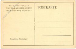 bengalische königstiger