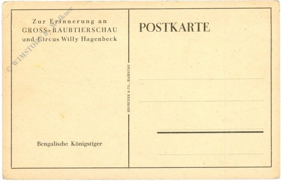 bengalische königstiger