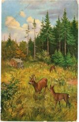 rehe mit hirsch
