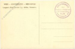 wien 13, schönbrunn, menagerie, leopard