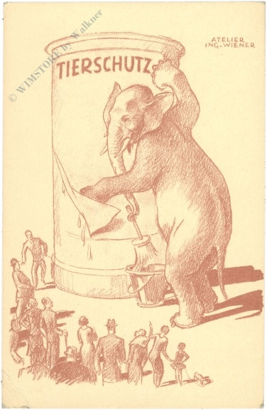 tierschutz elefant atelier ing. wiener