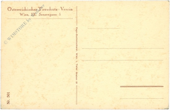tierschutz elefant atelier ing. wiener
