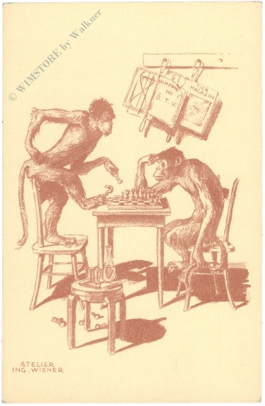 tierschutz affen atelier ing. wiener