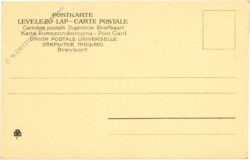 dackelwelpen spielen mit kind
