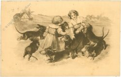 mädchen mit hunden mädchen mit hunden