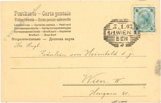 mädchen mit hunden