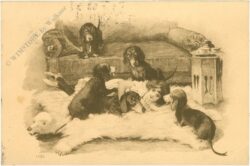 mädchen mit hunden