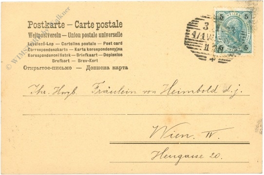 mädchen mit hunden