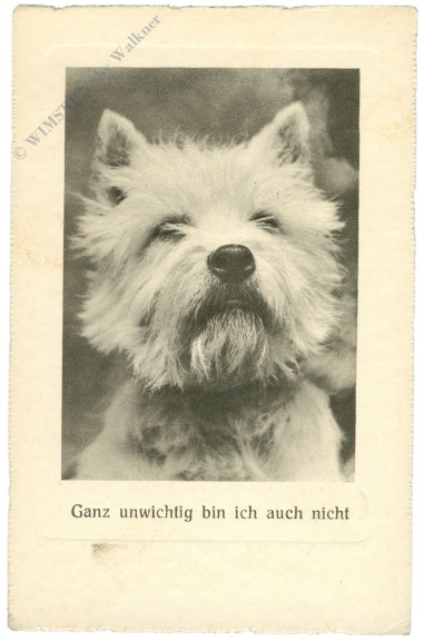 ganz unwichtig bin ich auch nicht....