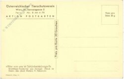 wer von uns ist schönheitskönigin? drahthaar foxterrier
