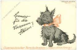 tierschutz spendet für die vorspann aktion! atelier wiener