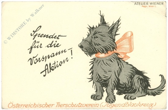 tierschutz spendet für die vorspann aktion! atelier wiener