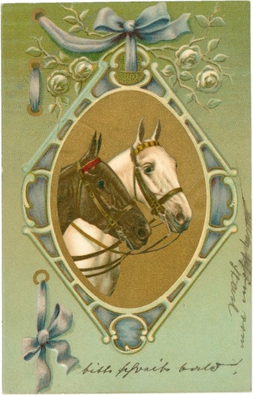 pferdeportrait