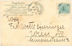 taube mit vergissmeinnicht