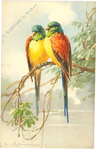 zwei papageien