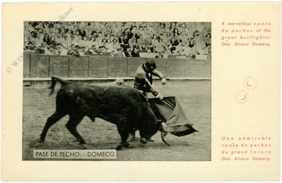 stierkampf pase de pecho