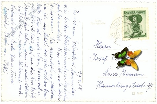 bad schallerbach, kurhaus 2