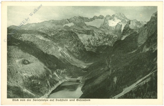 dachstein, blick von der zwieselalpe auf dachstein und gosauseen