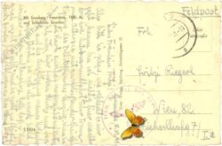 gmunden, ortsansicht