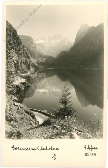 gosau, gosausee mit dachstein