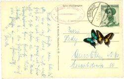 grünau im almtal, multiansicht