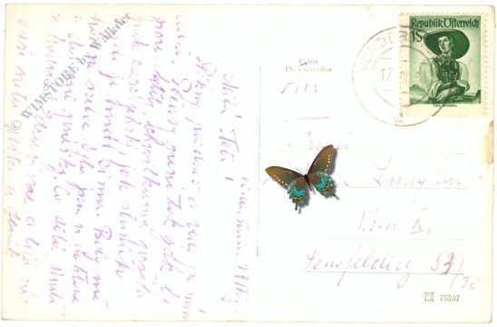 hinterstoder, jugendheim u. edtbaueralm m.d. toten gebirge