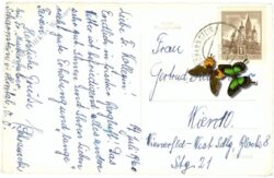 scharnstein, ortsansicht