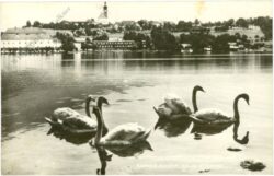 schörfling, ansicht