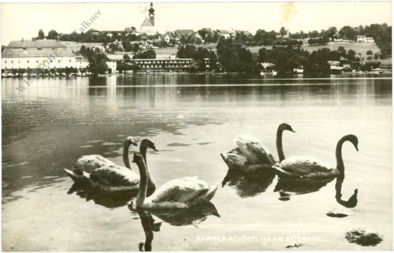 schörfling, ansicht