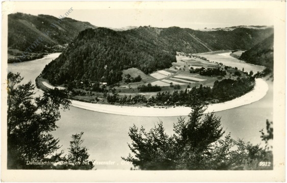 wesenufer, donauschlinge