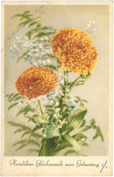 geburtstag: blumenstrauß geburtstag: blumenstrauß