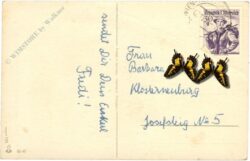 geburtstag: blumenstrauß
