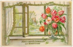 geburtstag: tulpenstrauß am geöffneten fenster