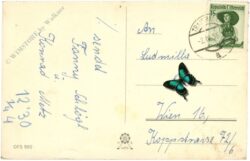 geburtstag: blumenkorb