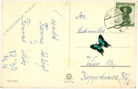 geburtstag: blumenkorb
