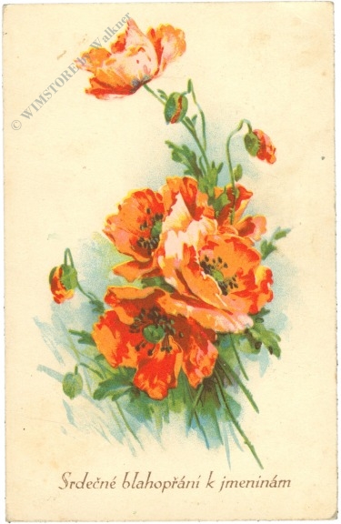 geburtstag: mohnblumen geburtstag: mohnblumen