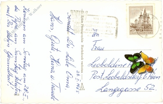 geburtstag: rosen