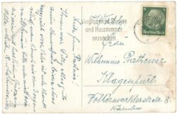 geburtstag: primeln