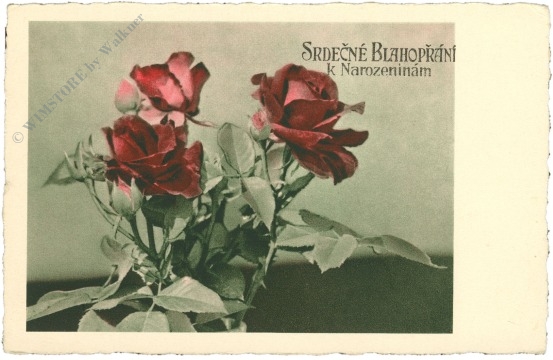 geburtstag: rosen geburtstag: rosen
