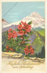 geburtstag: alpenblume