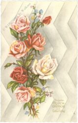 geburtstag: rosen