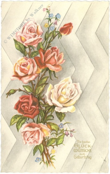 geburtstag: rosen geburtstag: rosen