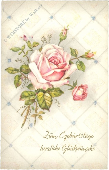 geburtstag: rosen geburtstag: rosen