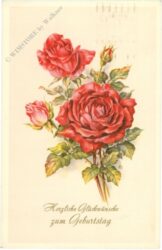 geburtstag: rosen