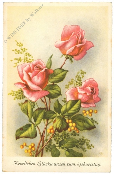 geburtstag: rosen