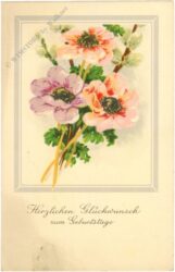 geburtstag: anemonen geburtstag: anemonen