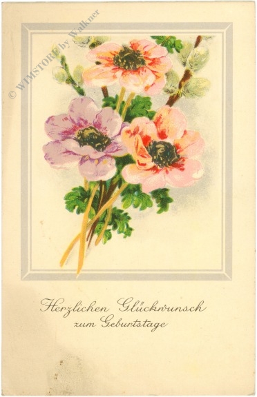 geburtstag: anemonen geburtstag: anemonen